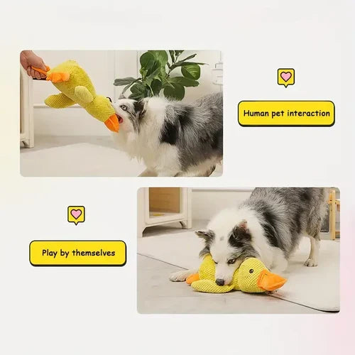 Soothing Quacker Plush Toy for Dogs