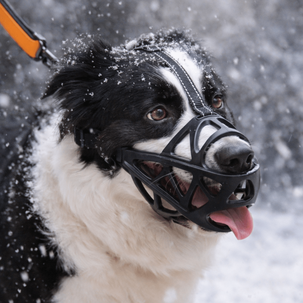 ComfortSafe Dog Muzzle for Everyday Protection