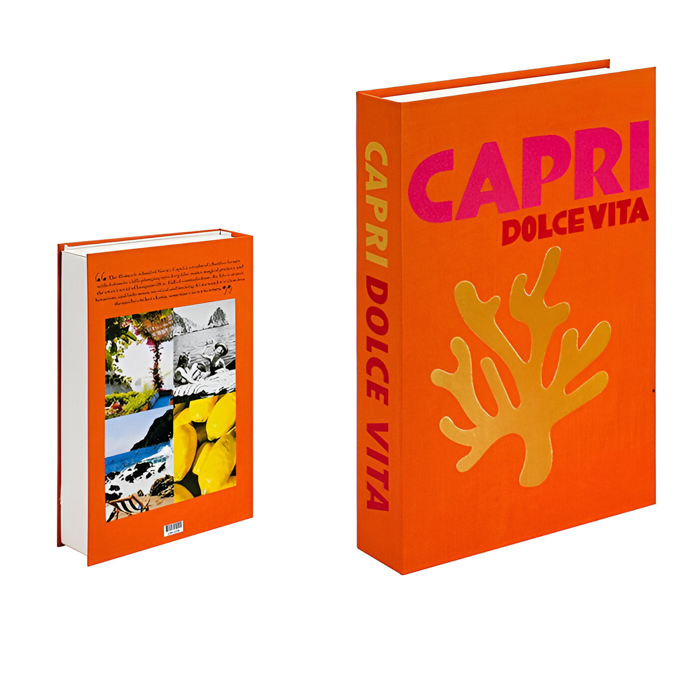 Elegant Accent Books for Stylish Home Organization