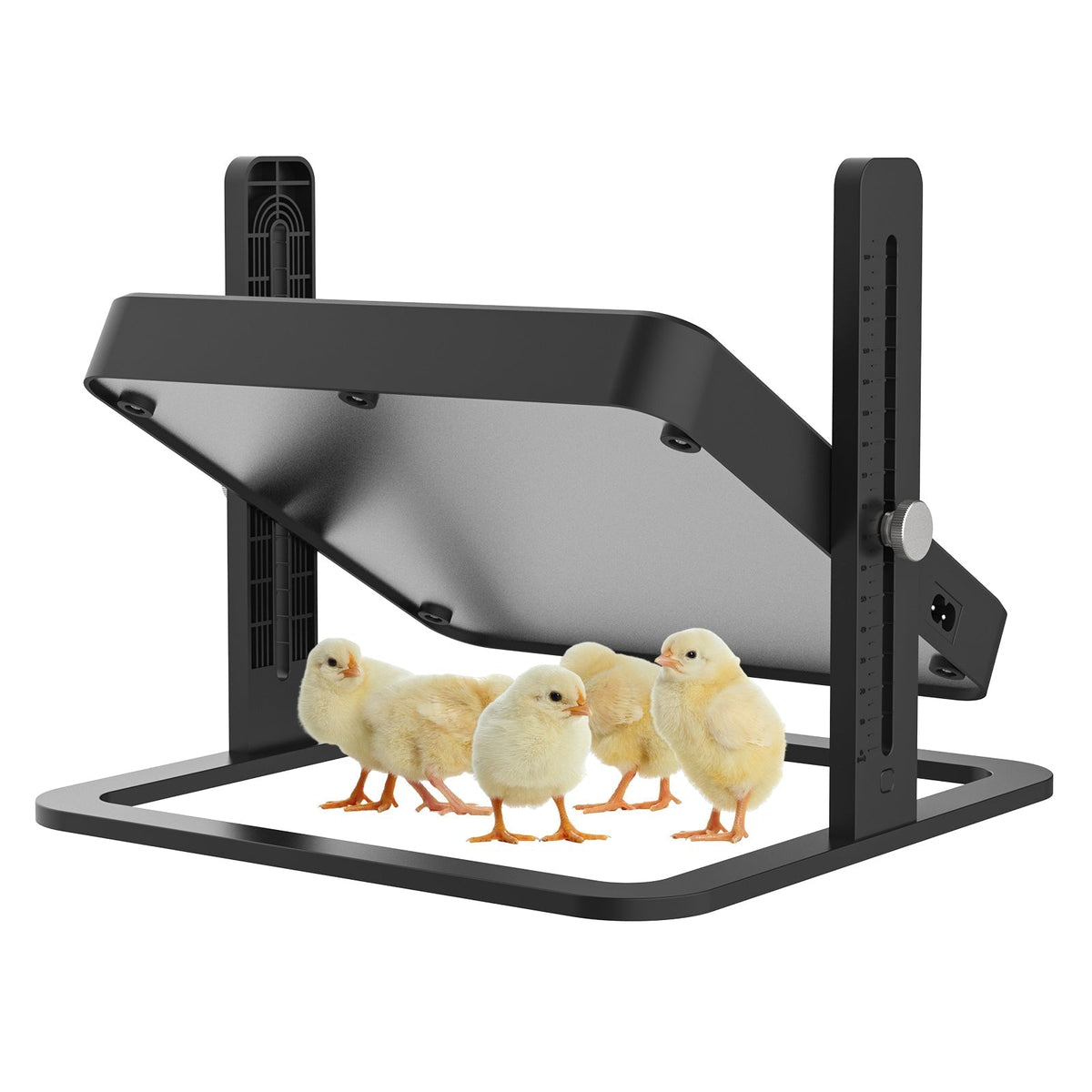 Poultry Warmth Plate | Adjustable Height & Tilt for Energy Savings