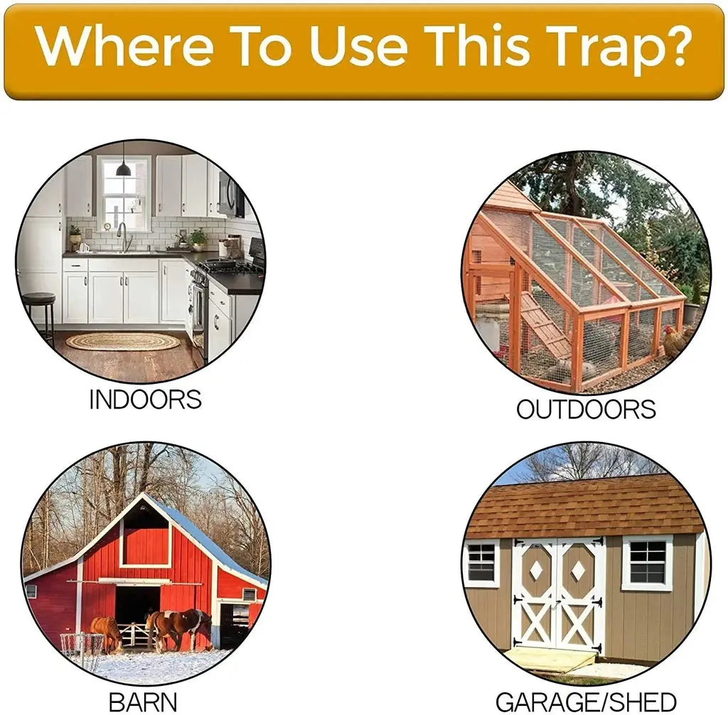 Eco-Friendly Rodent Control Solution with Safe Design