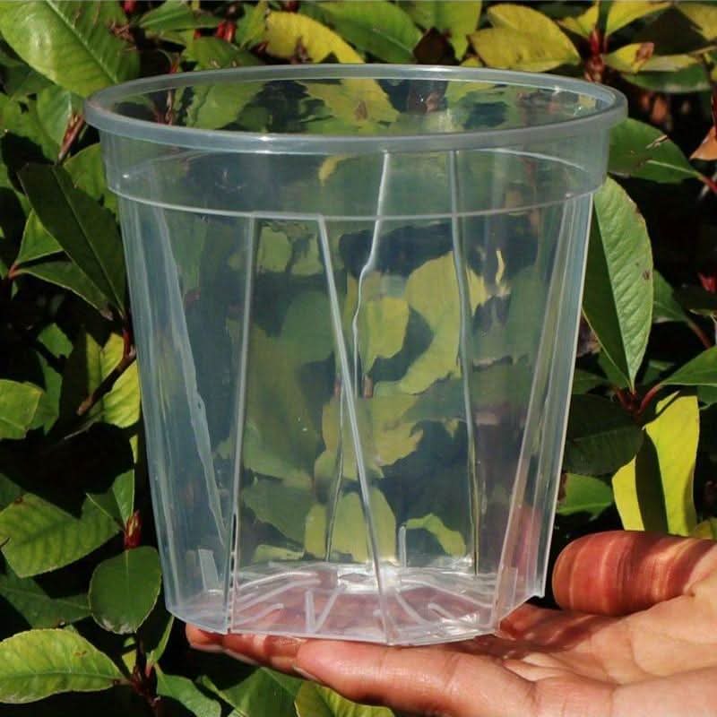 Translucent Planters for Optimal Root Health & Growth Monitoring