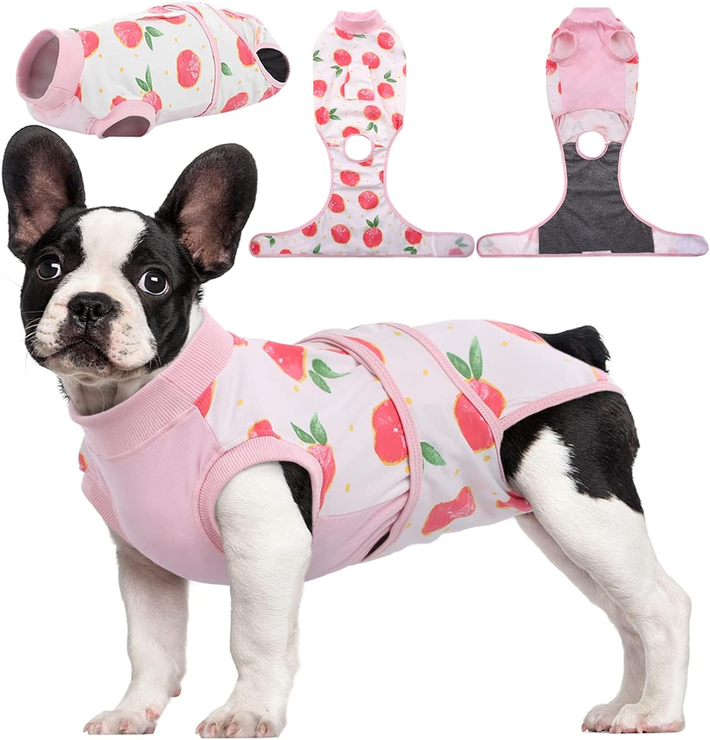 Comfortable Healing Suit for Pets | Soft, Breathable Recovery Gear