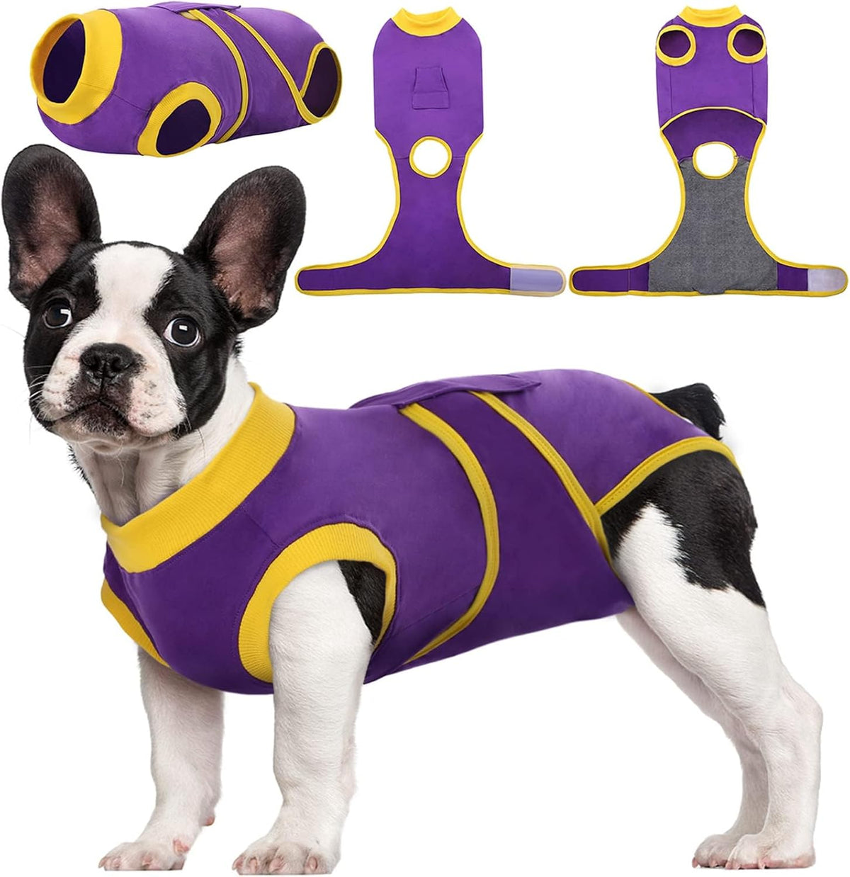 Comfortable Healing Suit for Pets | Soft, Breathable Recovery Gear
