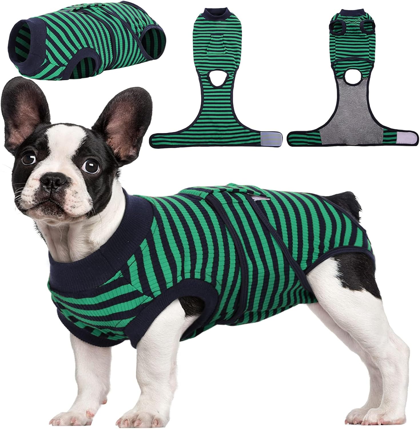Comfortable Healing Suit for Pets | Soft, Breathable Recovery Gear