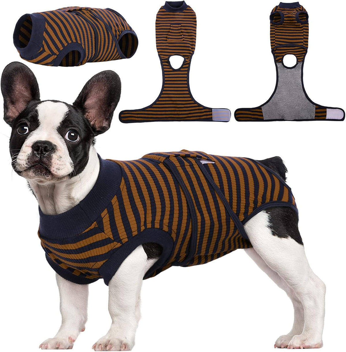 Comfortable Healing Suit for Pets | Soft, Breathable Recovery Gear