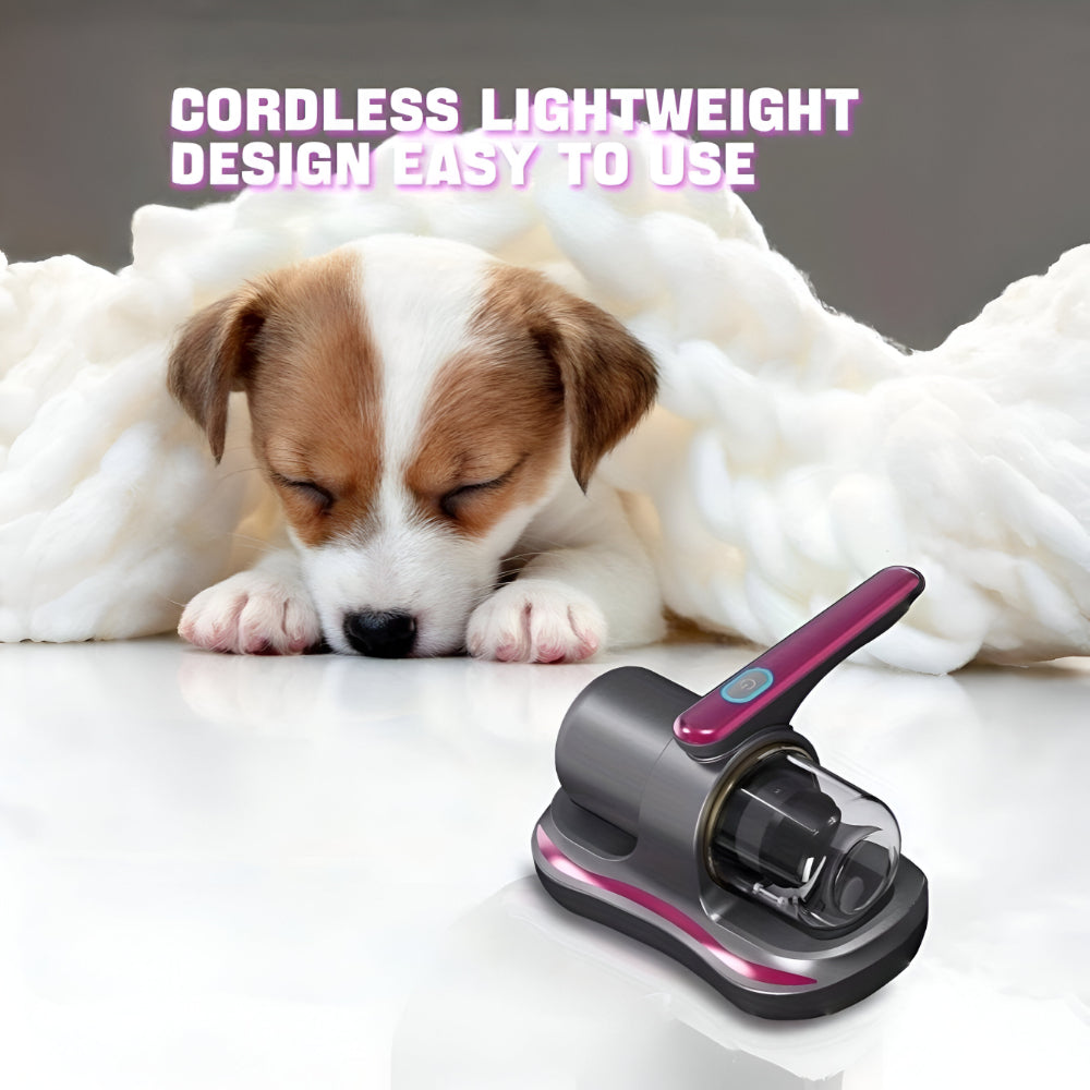 Portable Rechargeable Vacuum for Quick Surface Cleaning