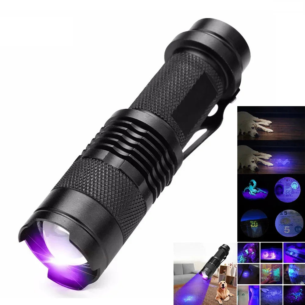 Portable UV Detection Light | Essential Tool for Home Inspections