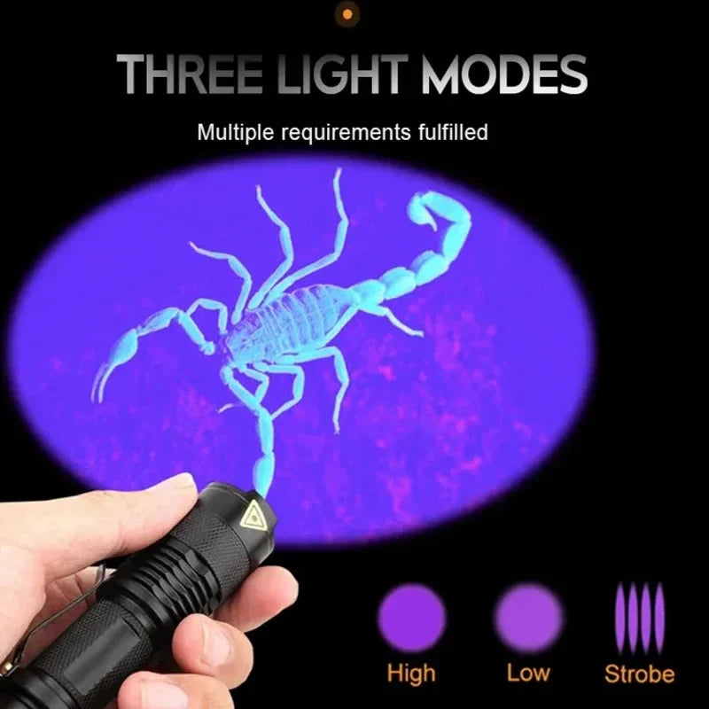 Portable UV Detection Light | Essential Tool for Home Inspections