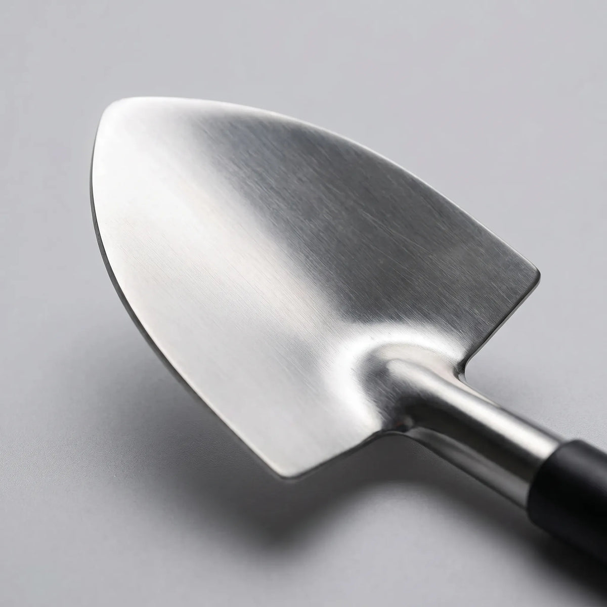 Bonsai Care Tool Kit for Pruning and Shaping Trees