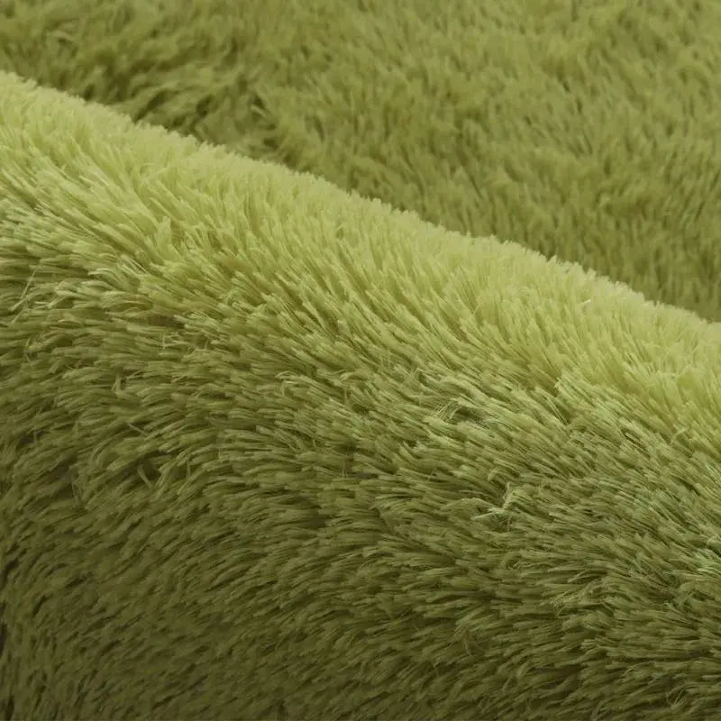 Area Rug Soft High-Pile Non-Slip Backing