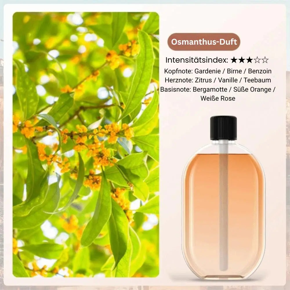 Aroma Diffuser Nano-Mist & Mood Light USB Rechargeable