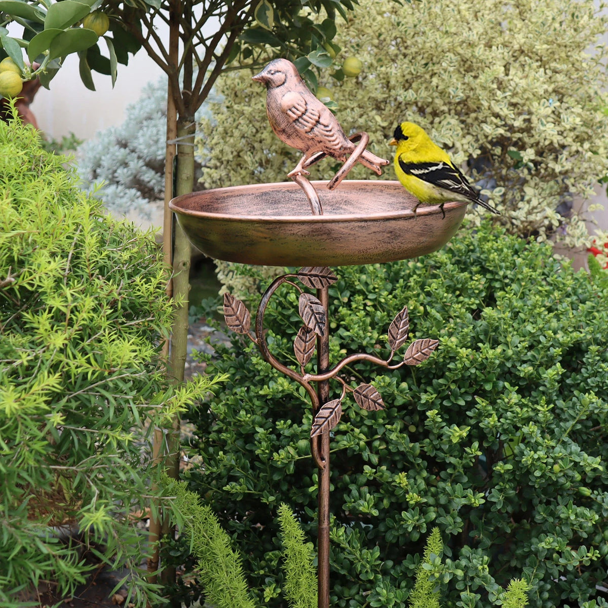 Bird Bath Copper-Look Metal Wide Bowl Tool-Free Assembly