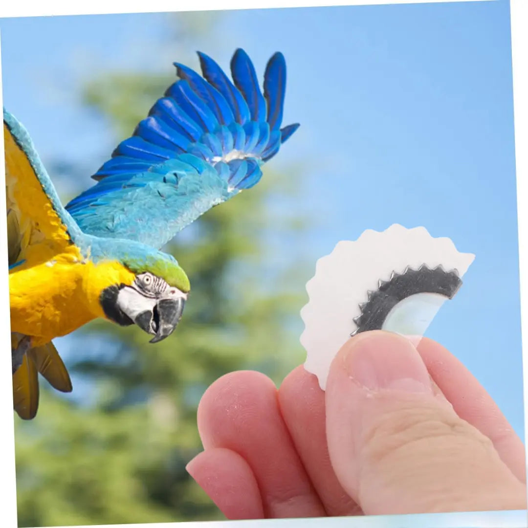Bird Call Mouthpiece Realistic Songbird Calls Pocket-Sized Weatherproof