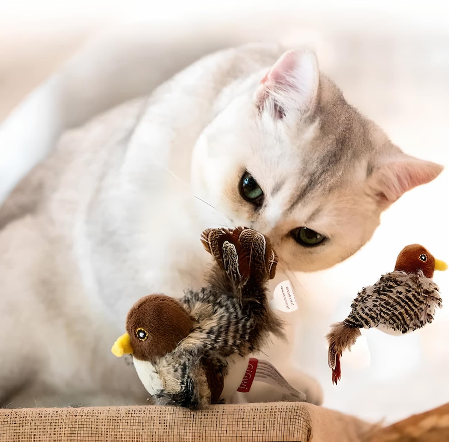 Bird Hunting Toy Rechargeable & Touch-Activated Fluttering Wings