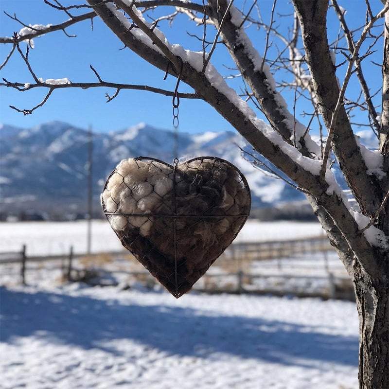 Bird Nesting Material Holder Heart-Shaped Iron Hanging Chain