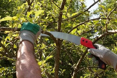 Bypass Pruning Saw Chrome Steel Triangular Teeth Non-Slip Handle