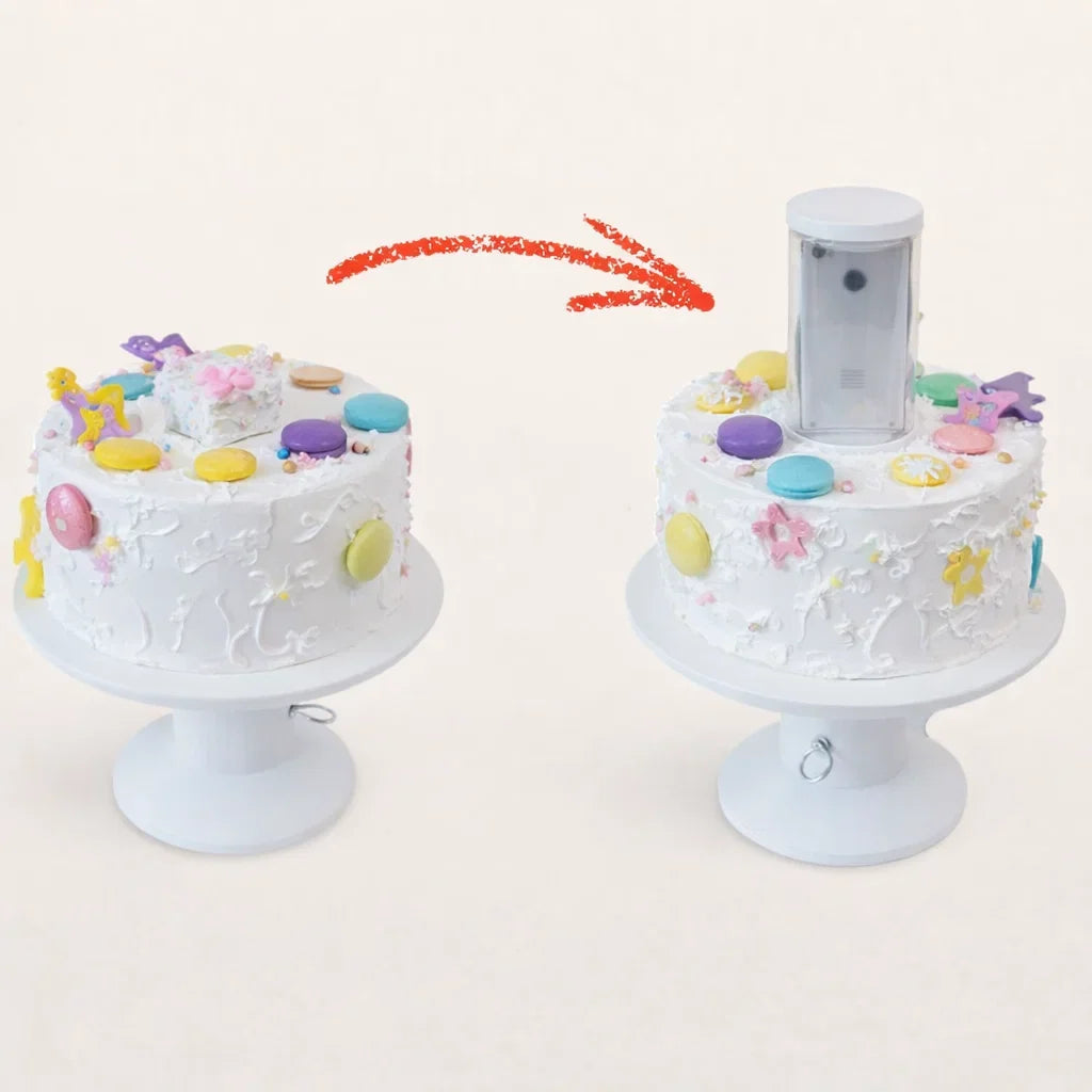 Cake Stand Hidden Pop-Out Gift Reusable & Food-Safe