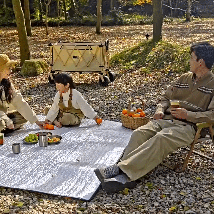 Camping Mat Reflective Thermal Waterproof Foldable