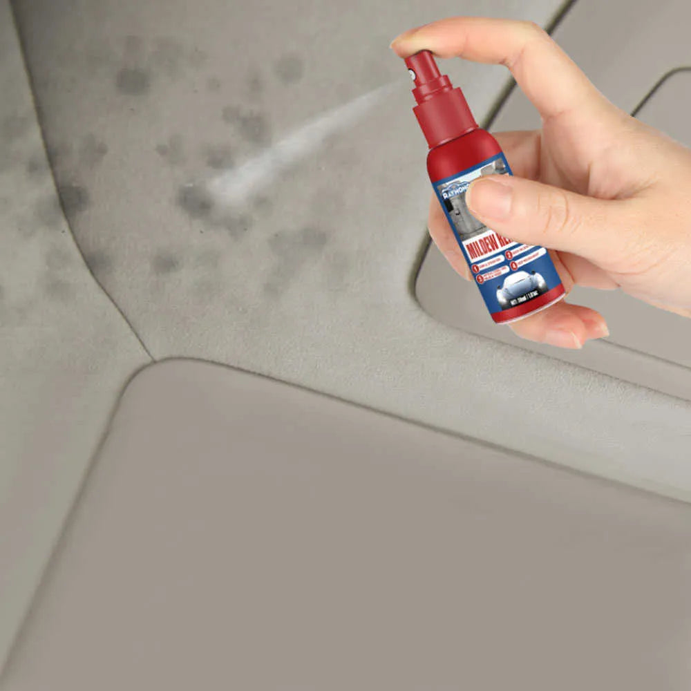 Car Mold Remover Spray Gentle Leather & Fabric 2-Pack