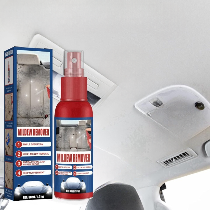 Car Mold Remover Spray Gentle Leather & Fabric 2-Pack