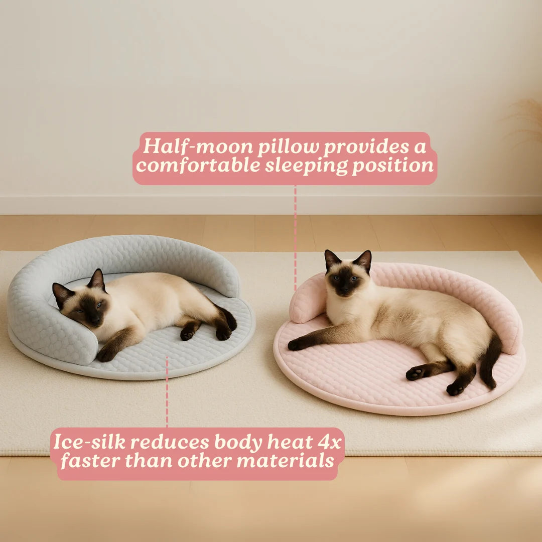 Cat Bed Orthopedic Foam Cooling Ice Silk Raised Edge