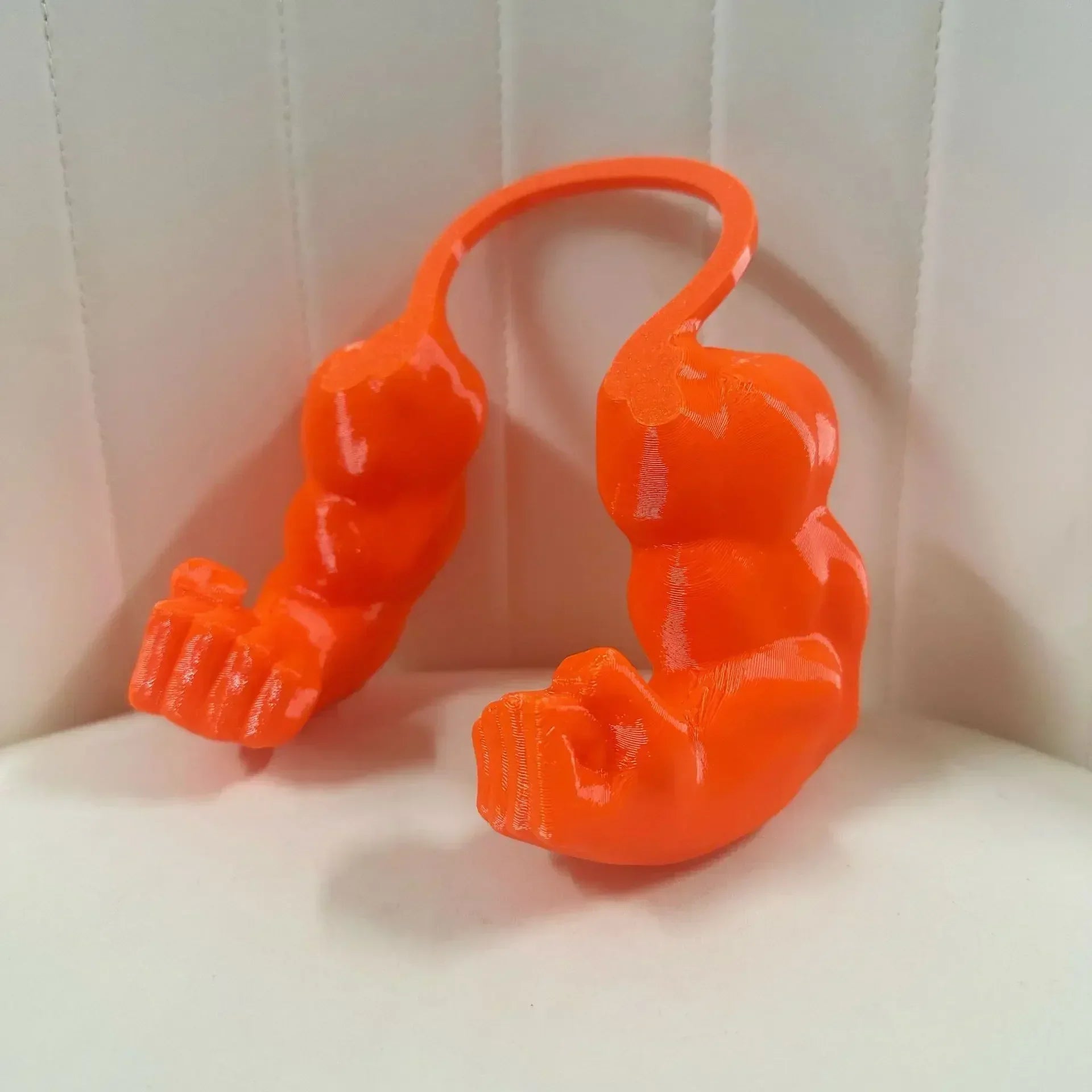 Cat Collar Bodybuilder Arms Lightweight & Non-Restrictive