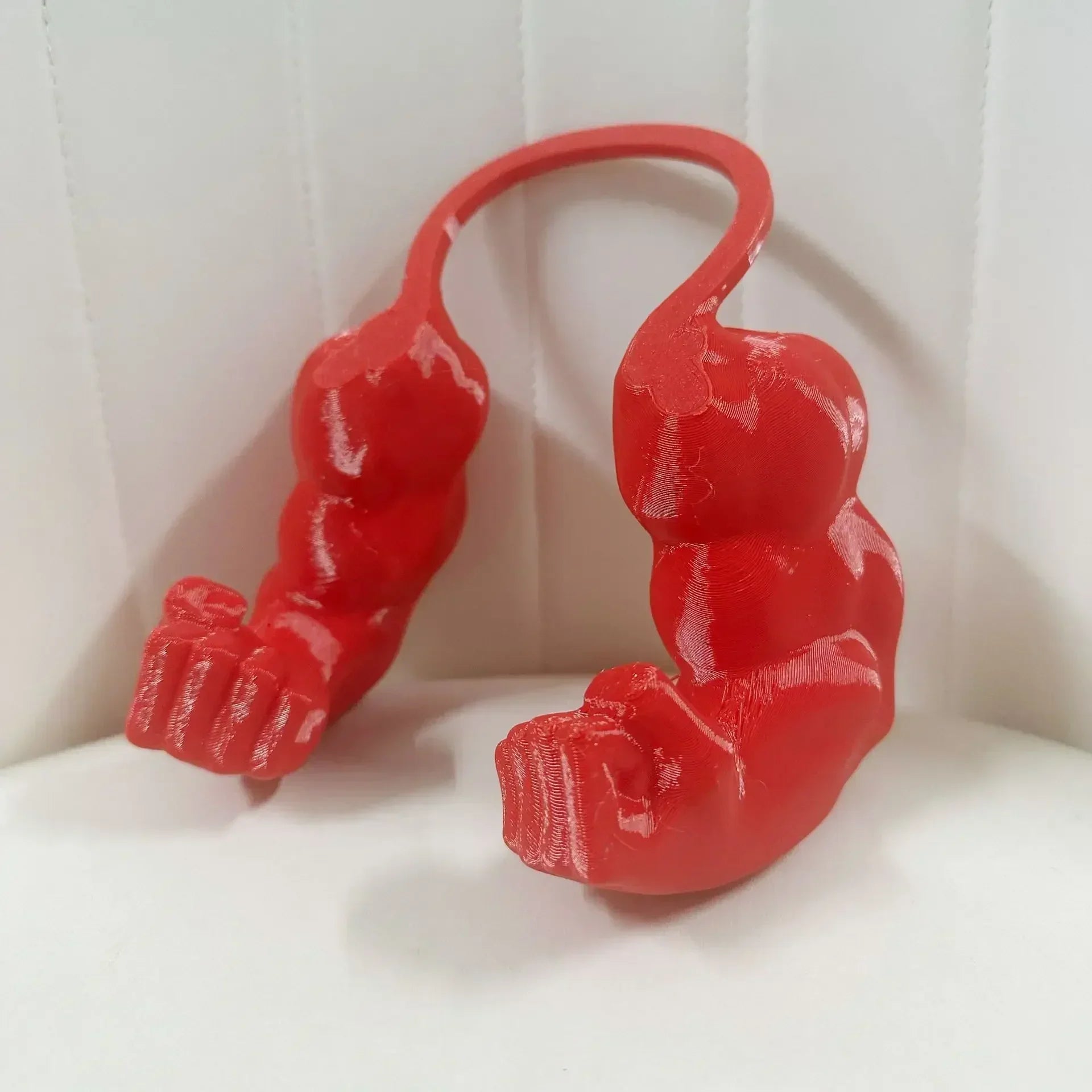 Cat Collar Bodybuilder Arms Lightweight & Non-Restrictive
