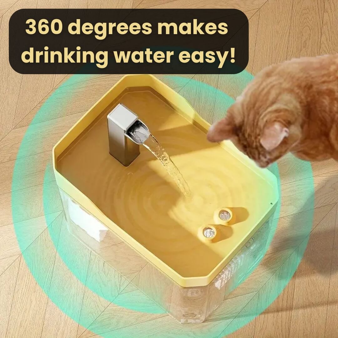 Cat Drinking Fountain 360 Degree Flow Whisper-Quiet Pump