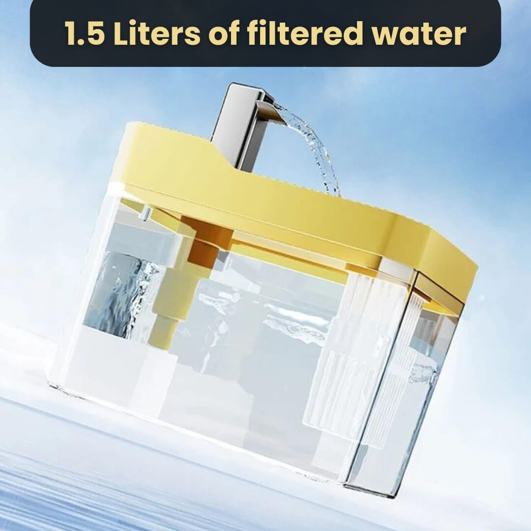 Cat Drinking Fountain 360 Degree Flow Whisper-Quiet Pump