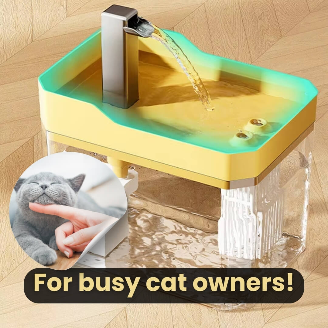 Cat Drinking Fountain 360 Degree Flow Whisper-Quiet Pump