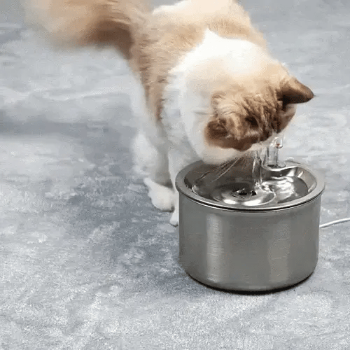 Cat Fountain Motion-Activated Stainless Steel 4-Stage Filtration 2.1L