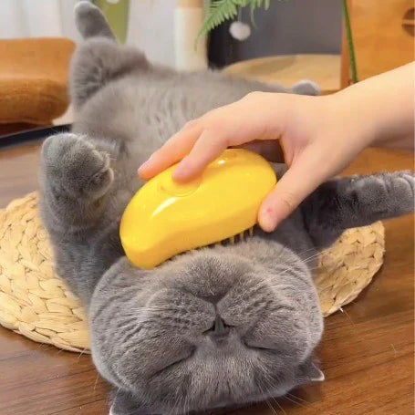 Cat Grooming Brush Integrated Spray Gentle Massage Bristles