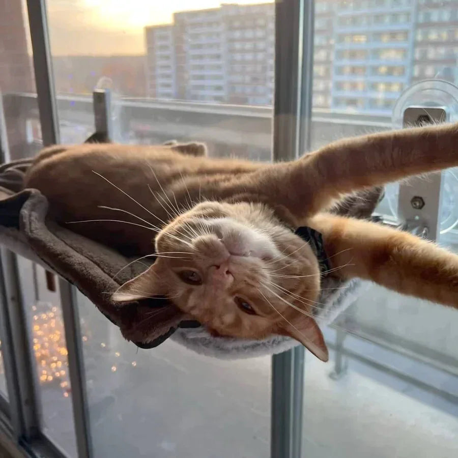 Cat Hammock Plush Oxford Window & Wall Mount