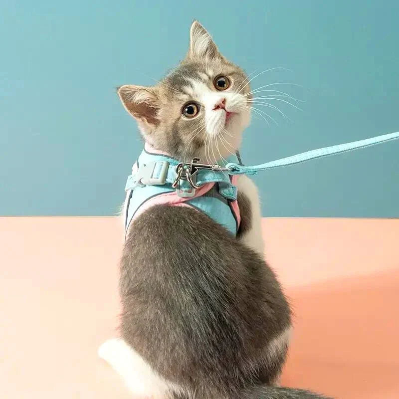 Cat Harness & Leash Set Padded Polyester Reflective Stripes