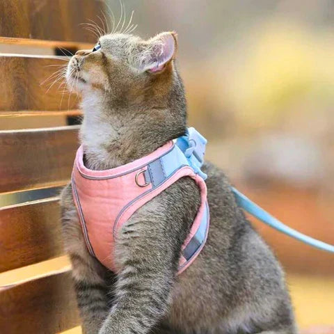 Cat Harness & Leash Soft Padded Reflective Stripes