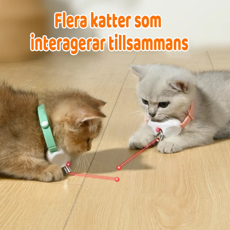 Cat Laser Collar Motion-Activated USB Rechargeable Hypoallergenic & Washable