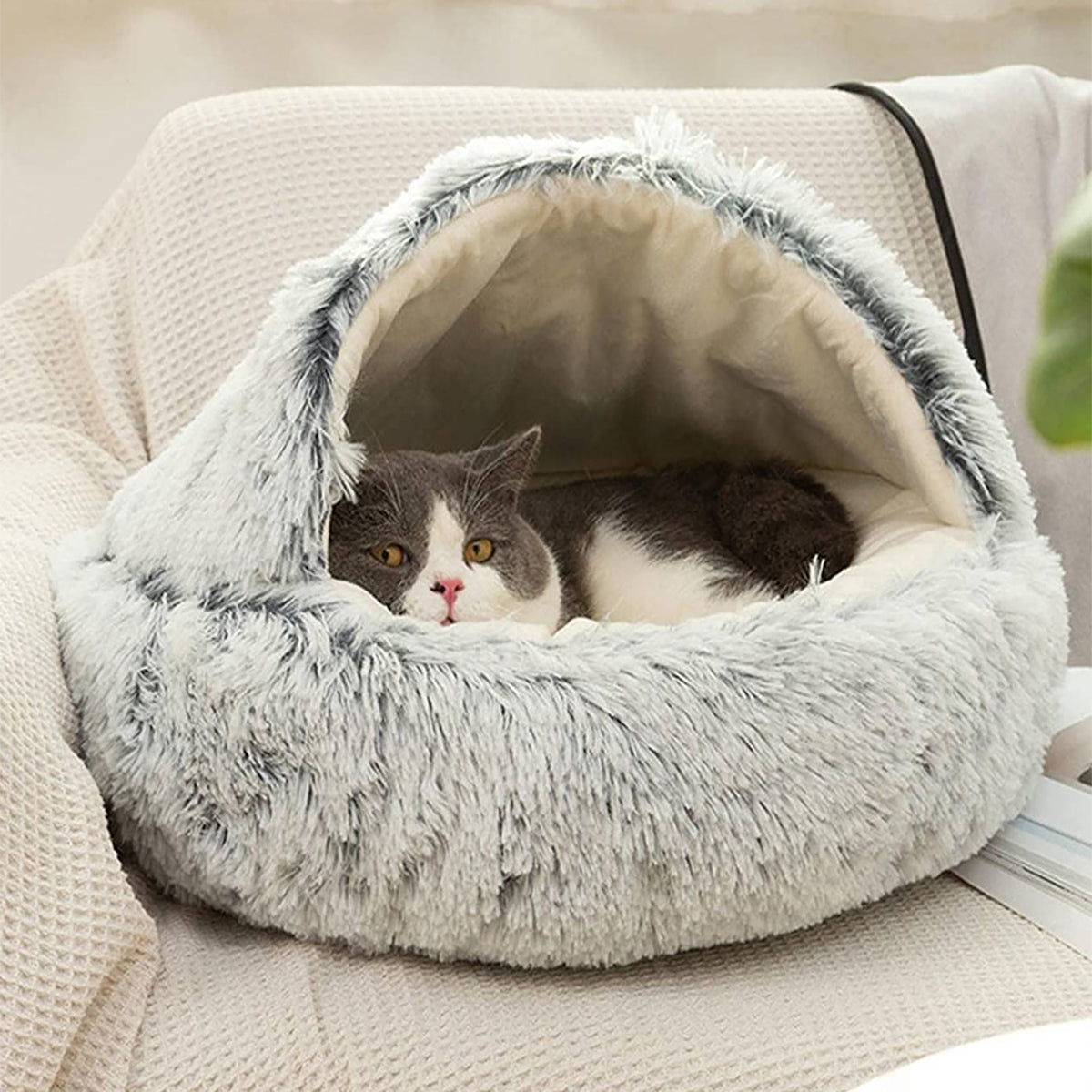 Cat & Small Dog Bed Plush Semi-Cave Machine Washable