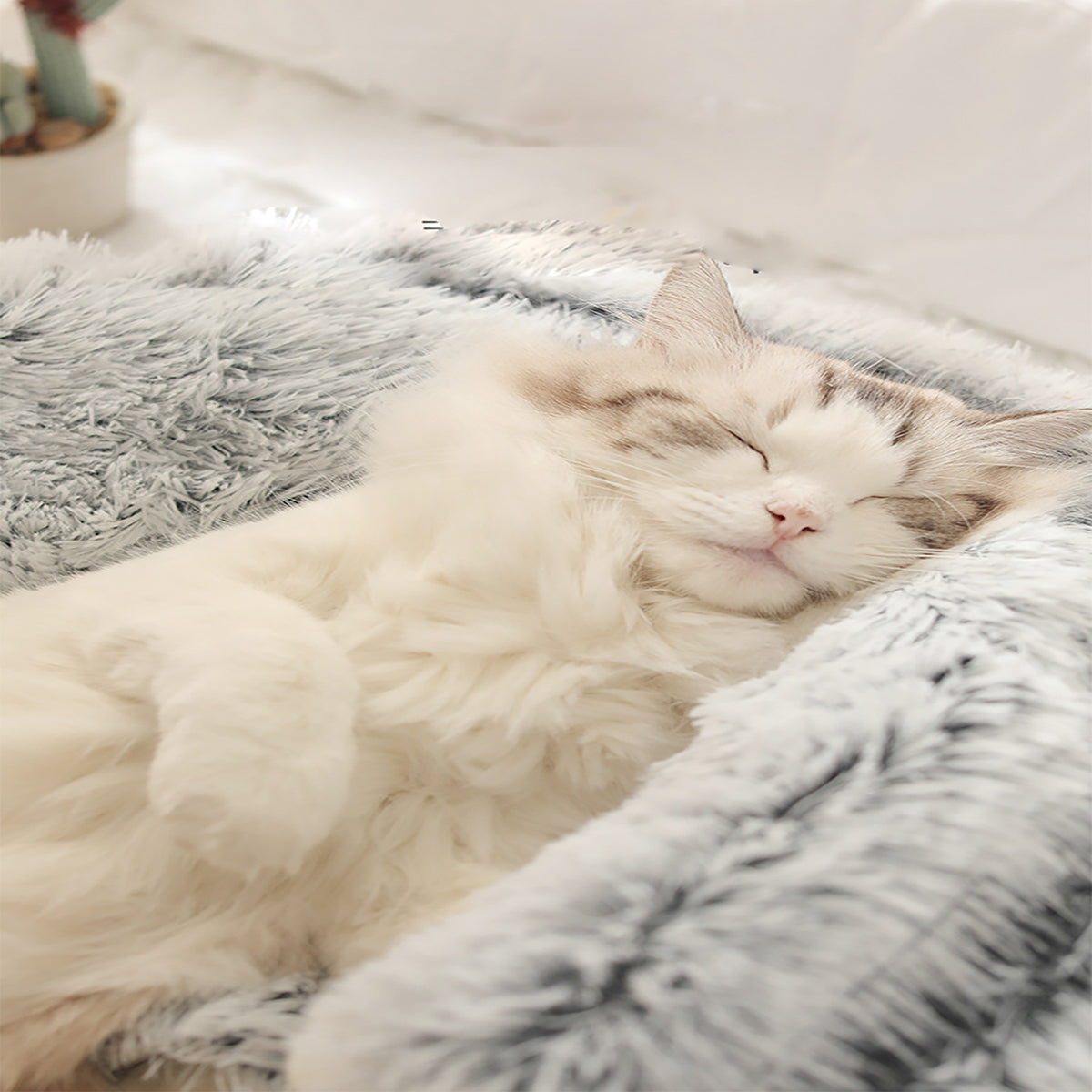 Cat & Small Dog Bed Plush Semi-Cave Machine Washable