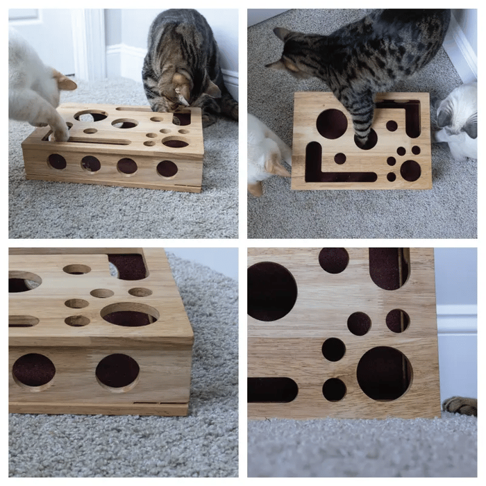 Cat Toy Oak Wood Treat Dispensing & Nail Filing