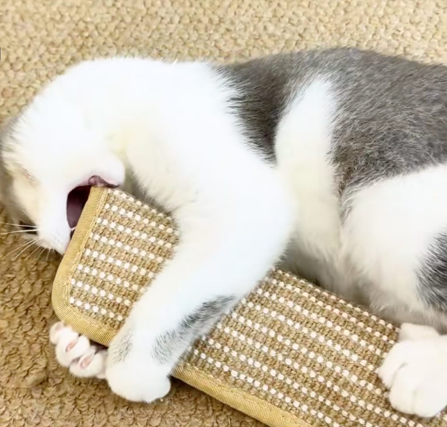 Cat Toy Sisal Rope With Pure Catnip