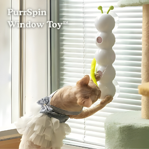 Cat Toy Wall-Mounted Motorized Rotating USB Rechargeable