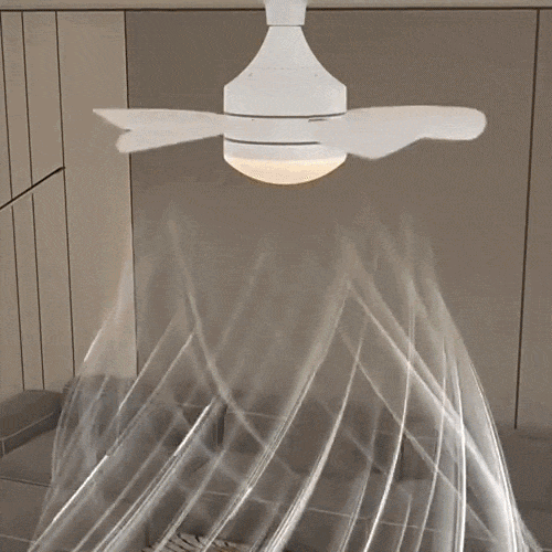 Ceiling Fan Screw-In E27 LED Light & Remote