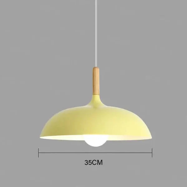 Ceiling Light Solid Oak & Iron E27 Socket