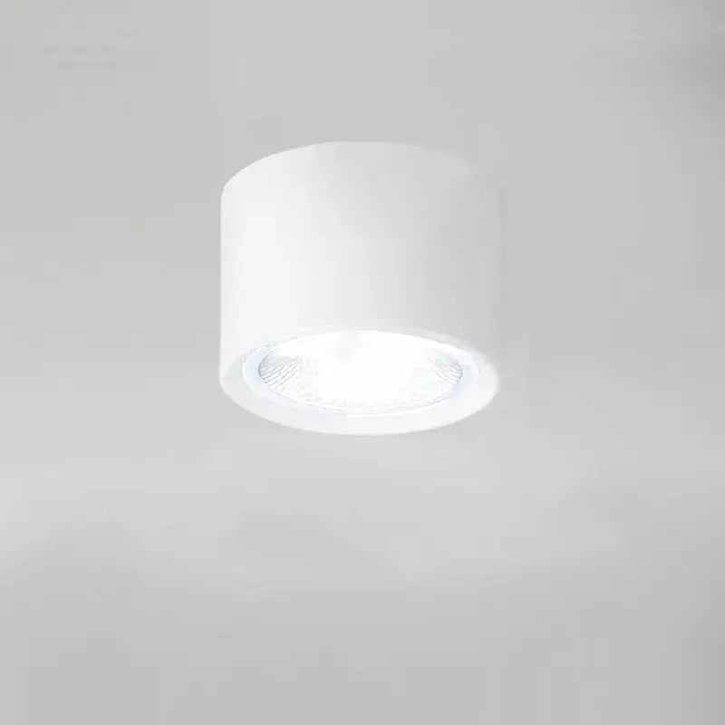 Ceiling Spotlight Cylindrical Adjustable Aim Integrated COB LED