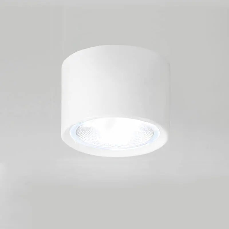 Ceiling Spotlight Cylindrical Adjustable Aim Integrated COB LED