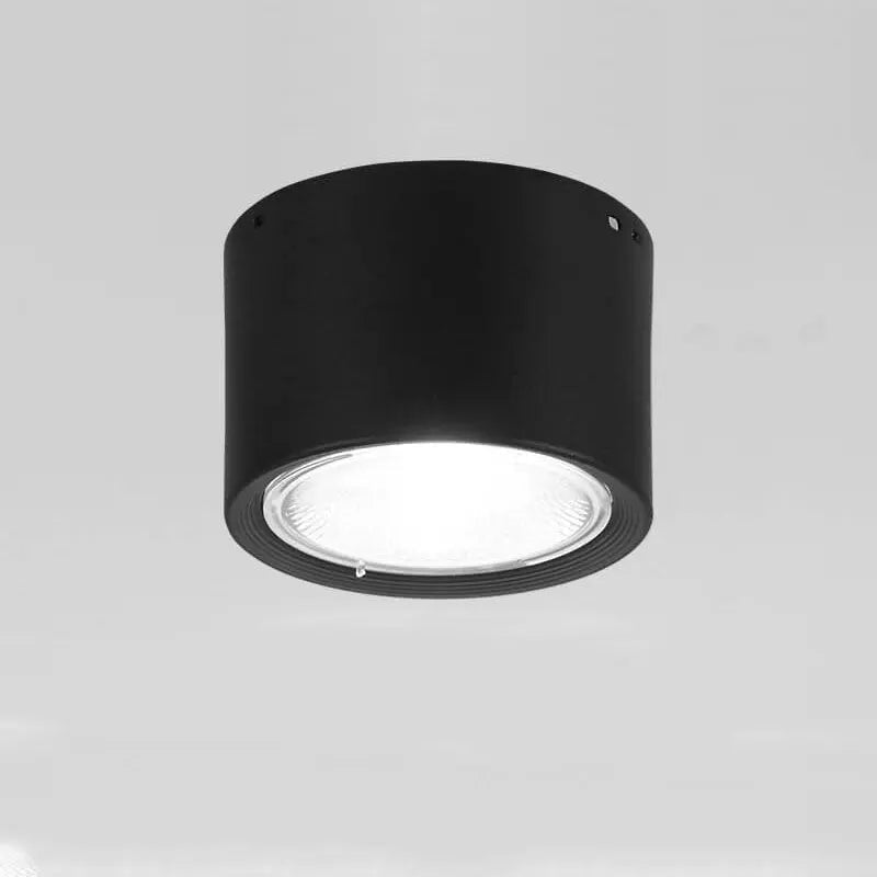 Ceiling Spotlight Cylindrical Adjustable Aim Integrated COB LED