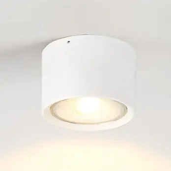 Ceiling Spotlight Cylindrical Adjustable Aim Integrated COB LED
