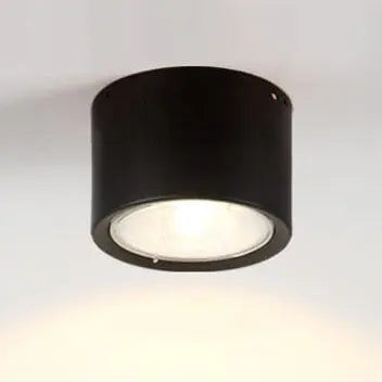 Ceiling Spotlight Cylindrical Adjustable Aim Integrated COB LED