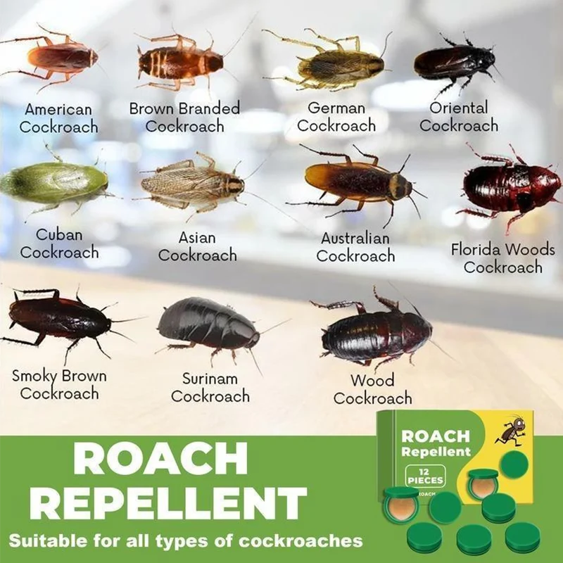 Cockroach Bait Adhesive Low Odor 12 Pack